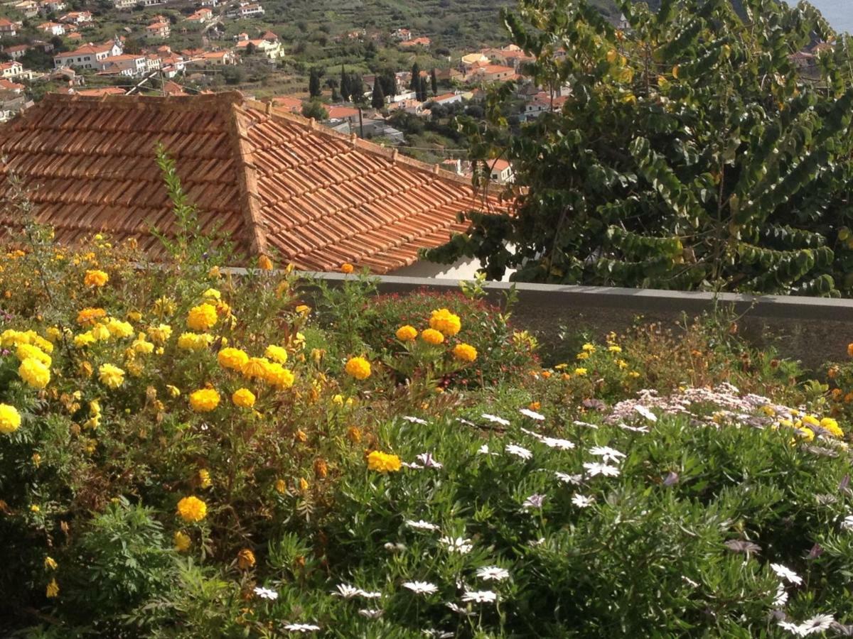 Villa Girasol Arco da Calheta  Exterior photo